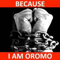Because I am Oromo