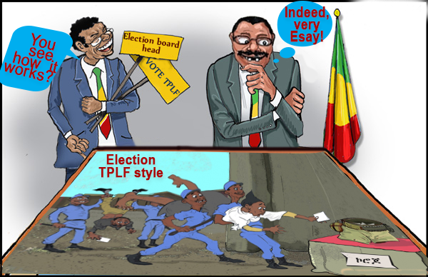 election_tplf_style